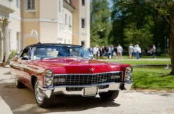 Autokorso im Schlosspark. Hochzeitsauto Straßenkreuzer Schlosspark Moritzburg Dresden Bautzen Dippoldiswalde Heidenau