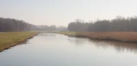 Schwäne im Dunst, APS-C. Weißer Schwan Dresden Fotograf Meyer Görlitz Domiplan 2.8/50 Schwäne Dunst