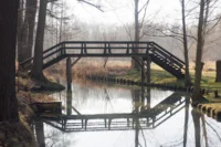 Brücke im Spreewald, die Zweige am oberen Rand sind stark überstrahlt und es haben sich starke Farbsäume gebildet, APS-C. Meyer Görlitz Domiplan 50mm f/2.8 Brücke Spreewald