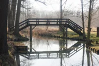 Korrektur der Farbsäume in rawtherapee. Meyer Görlitz Domiplan 2.8/50 Wald Kanal